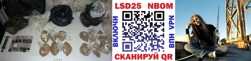 blacksprut как зайти  Стародуб  ЛСД экстази ecstasy 