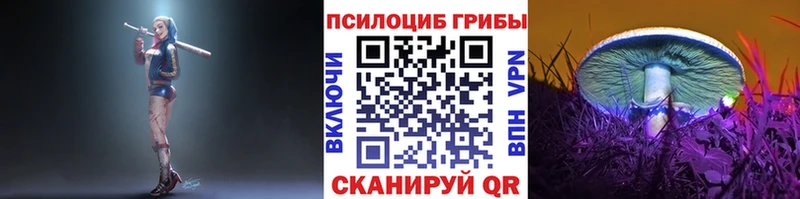 наркошоп Стародуб Галлюциногенные грибы ЛСД