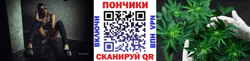 Каннабис конопля  Стародуб 